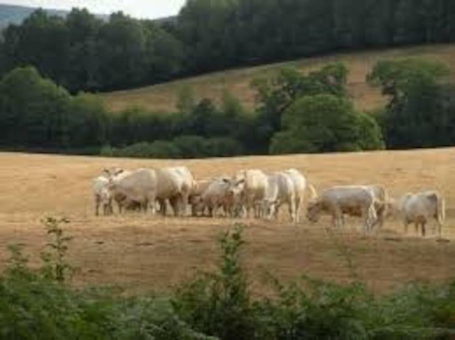 Vila La Ferme Des Pierrettes Menneville Exteriér fotografie