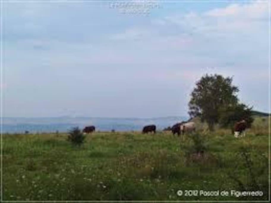 Vila La Ferme Des Pierrettes Menneville Exteriér fotografie