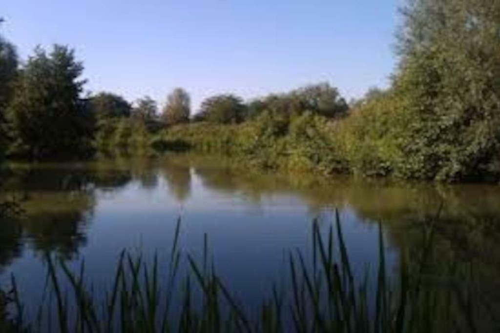 Vila La Ferme Des Pierrettes Menneville Exteriér fotografie
